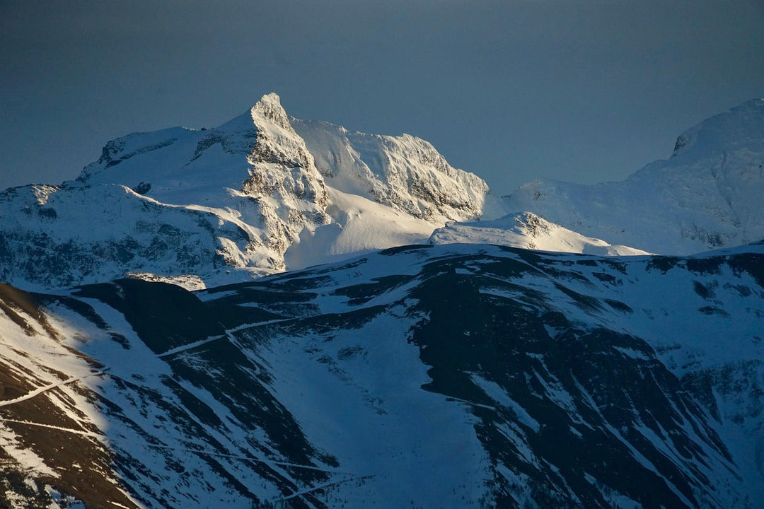 Rooted in heritage. Reborn in Switzerland.